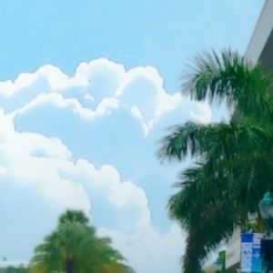 Meet your Posher, Matthew